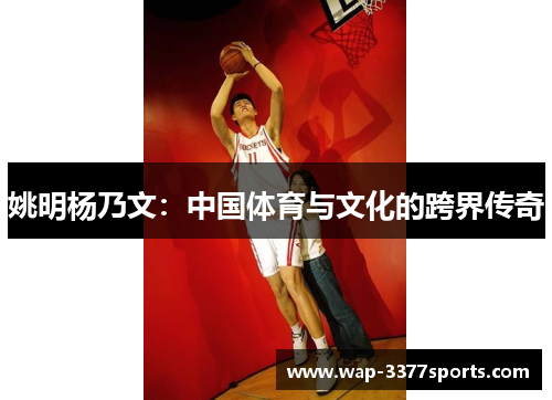姚明杨乃文：中国体育与文化的跨界传奇